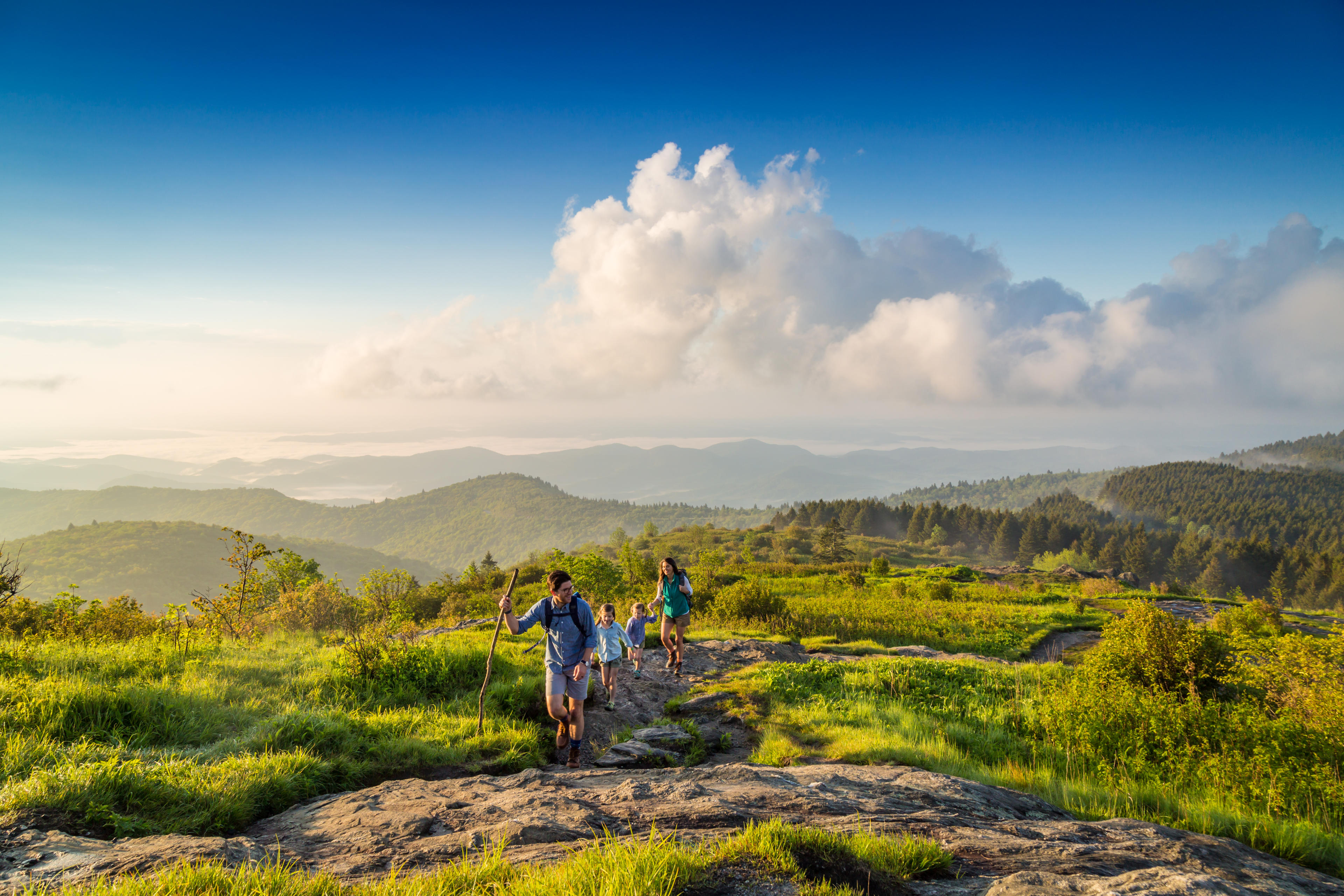 Your Essential Guide to Summer in Asheville